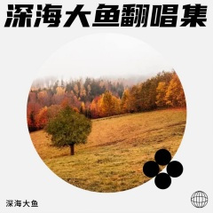 斑马,斑马