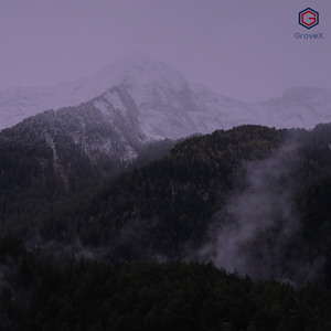 鸽刎（Feat by.Lil Honey Peach）