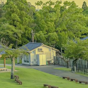 候鸟未抵达的纬度