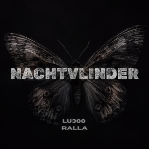 Nachtvlinder