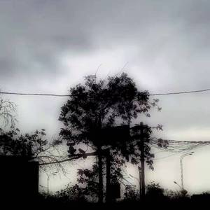 D008（prod.YoungMarkin）