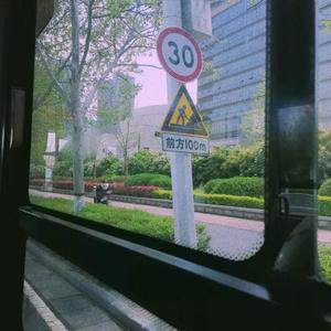 风与白