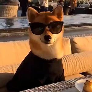 没有耳朵听的歌