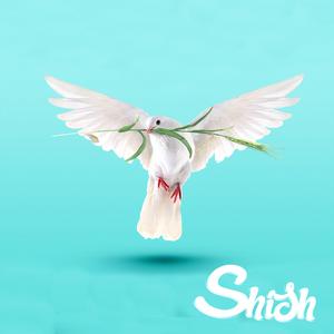 Build Yourself an Ark