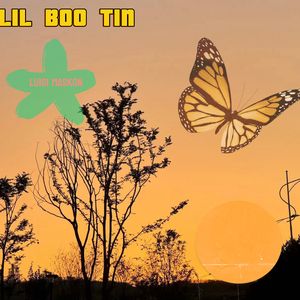 Lil BOO TIN