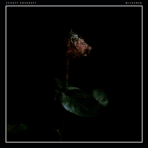 Awaiting New Life