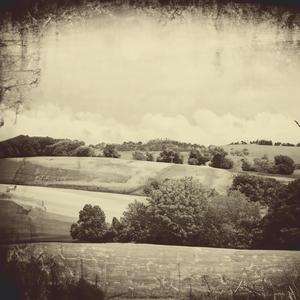 The Black Dog (Instrumental)