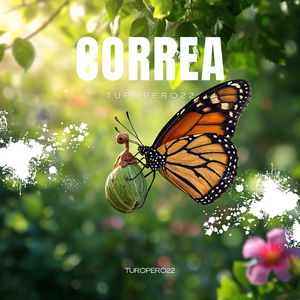 Correa