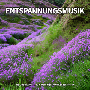 Einfach auf der Fensterbank