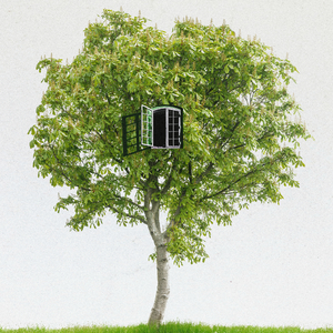 초록을 삼킨 나무