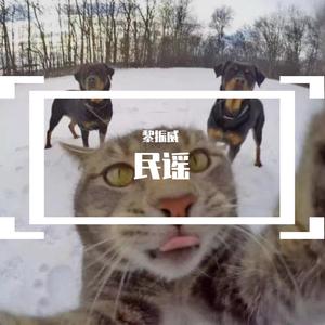 蝶儿总在空中飞