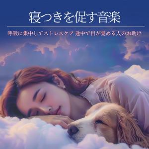 θ波を刺激し 疲労回復 ストレス解消 自律神経整う バイノーラルアンビエント