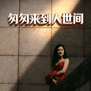 匆匆来到人世间