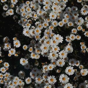 一错再错[www.♡♢♡.com]