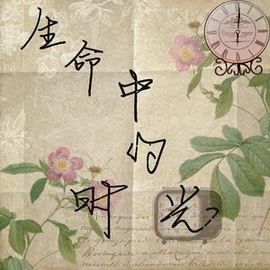 生命中的时光