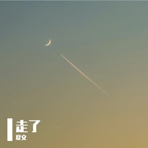 走了