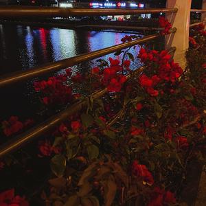 雨下花落（Prod By JestonBeatz）