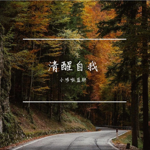 自我清醒之海
