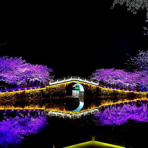 还要多久（翻自 韩佩泉）