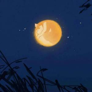 琴师+倾尽天下（Live）