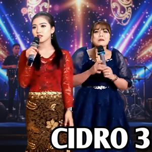 CiDRO 3