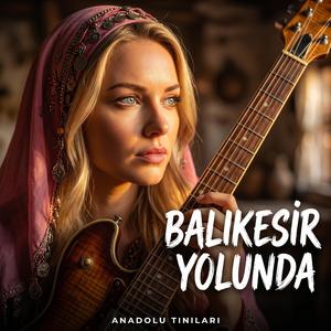 Balıkesir Yolunda