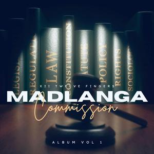 Madlanga Commission (Commercial)