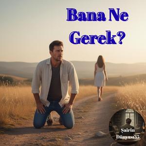 Bana Ne Gerek?