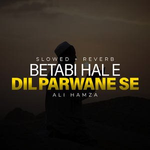 Betabi Hal E Dil Parwane Se Lofi