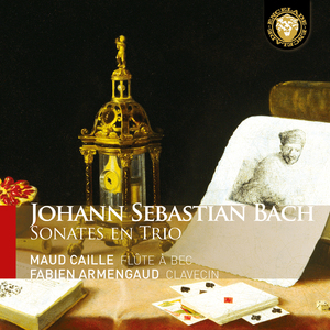 Sonate No. 4 in A Minor, BWV 528:II. Andante