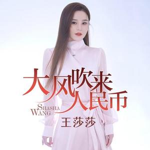 大风吹来人民币 (伴奏)