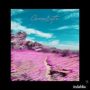 Concrete (Midnight Edition)