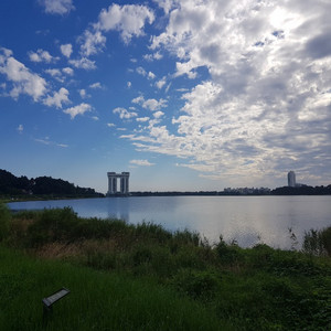 산책갈까