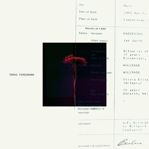 Lover, i'm down for it.