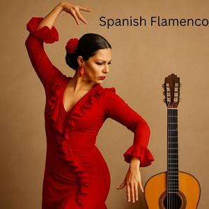 Spanish Flamenco Guitar 2