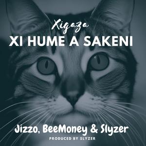 Xi Hume A Sakeni (feat. BeeMoney & Slyzer)