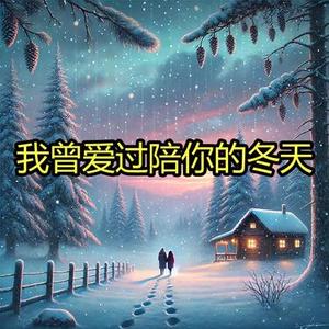 我曾爱过陪你的冬天