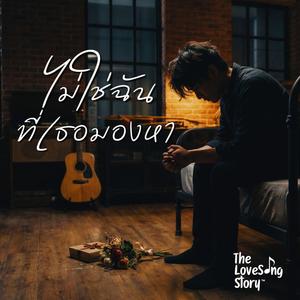 ไม่ใช่ฉันที่เธอมองหา