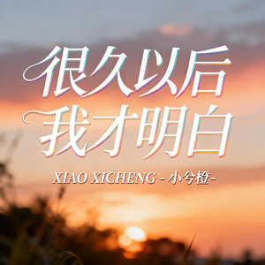 很久以后我才明白（原版）