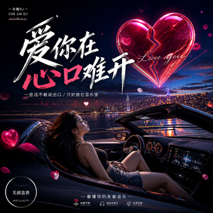 爱你在心口难开 (车载DJ）