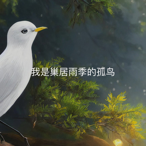 月光、雨水、一只鸟wav