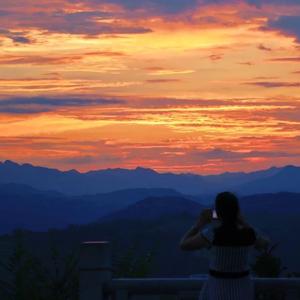 谎话说的那么动听