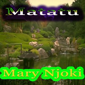 Matatu