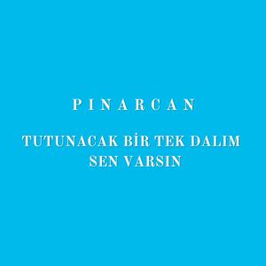 Tutanacak Bir Tek Dalım Sen Varsın
