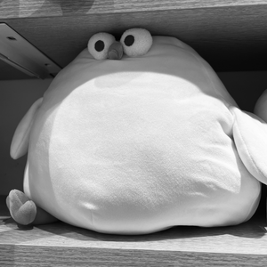 如果有一天我遇见你会不会带我去吃塔斯汀然后对我说真好吃还要再来一份的时候我说会长胖的你给了我一巴掌