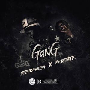 Gang (feat. Stetois wesh)