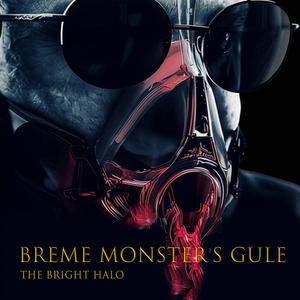 The bright Halo (Radio Edit)