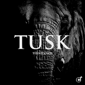 Tusk (Original Mix)