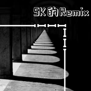 Zj-aIvSoN-追光者（SK-212 remix）