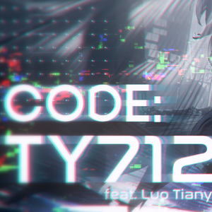 code：TY712